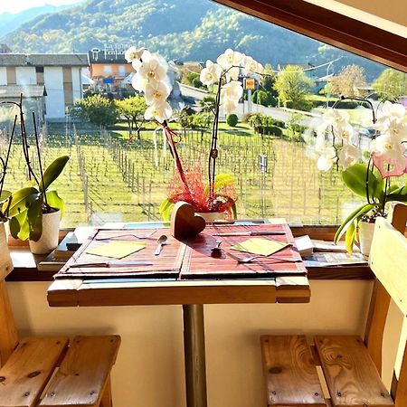 B&B Valtellina Mon Amour Piateda 외부 사진